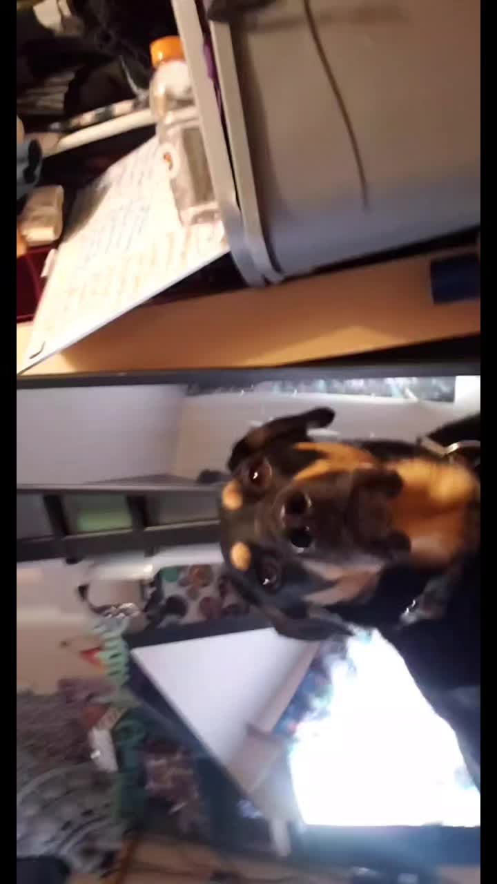 @𝔑𝔶𝔵 𝔇𝔯𝔲𝔢