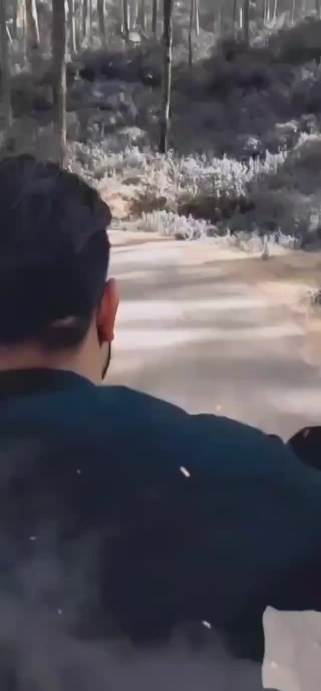 @user4665485345522
