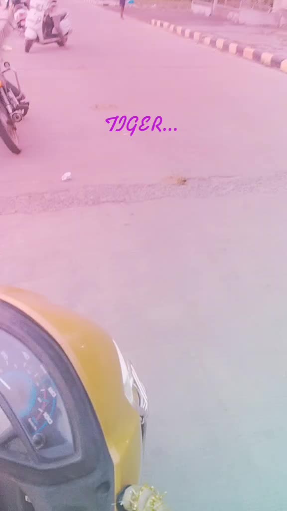 @Rajahmundry Tiger ๐