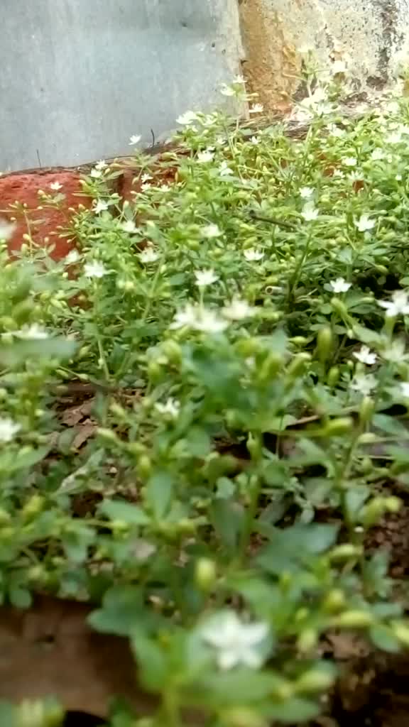 @BharathBunny713