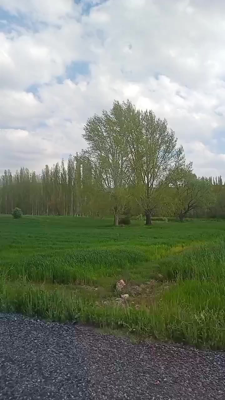 @ademim