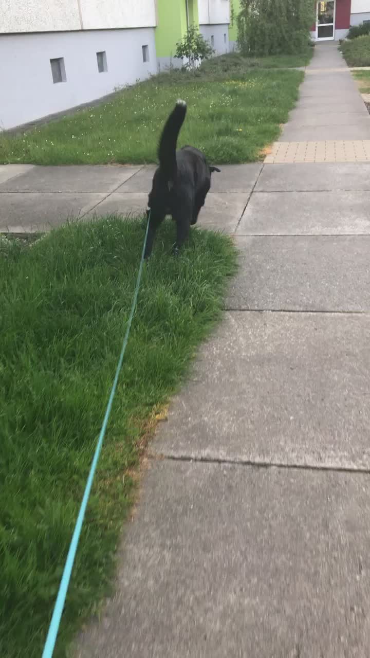 @Lucky&Linda❤️🐶