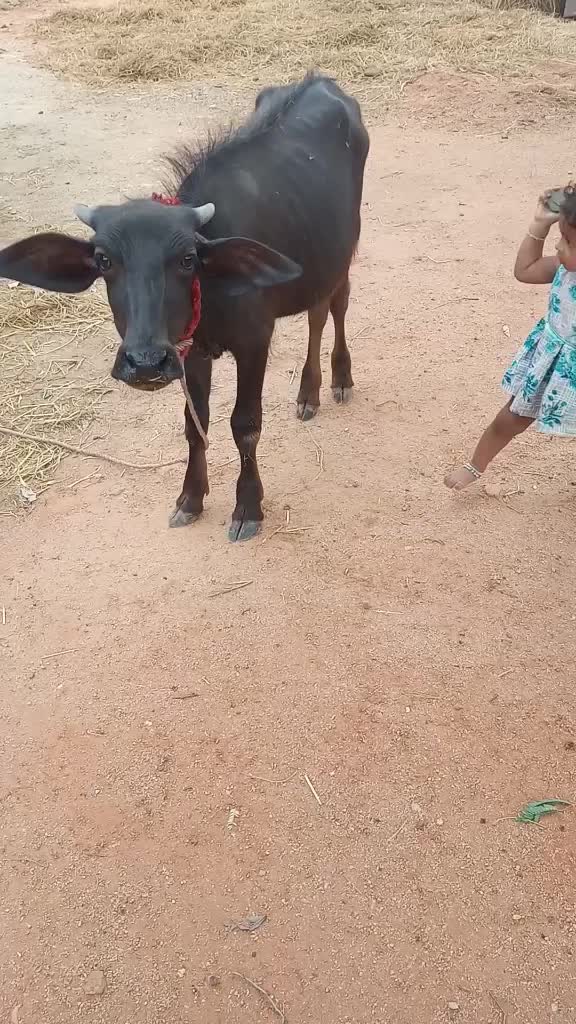@user8806650662421