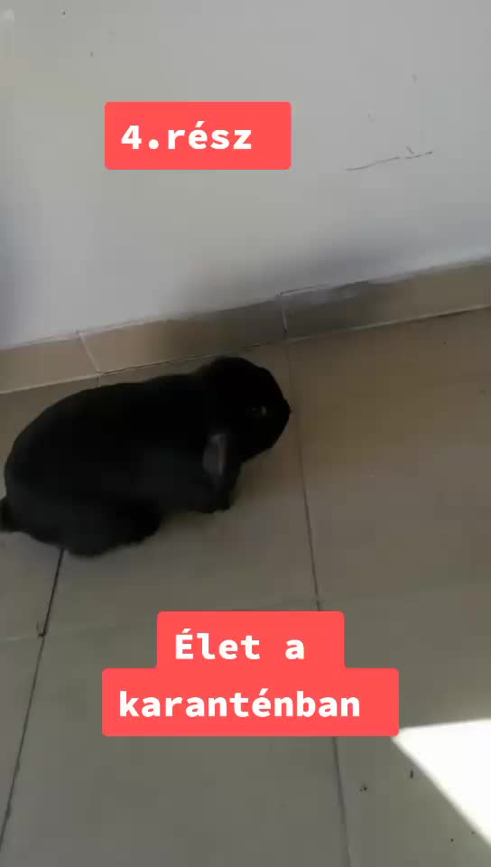 @Szutyok