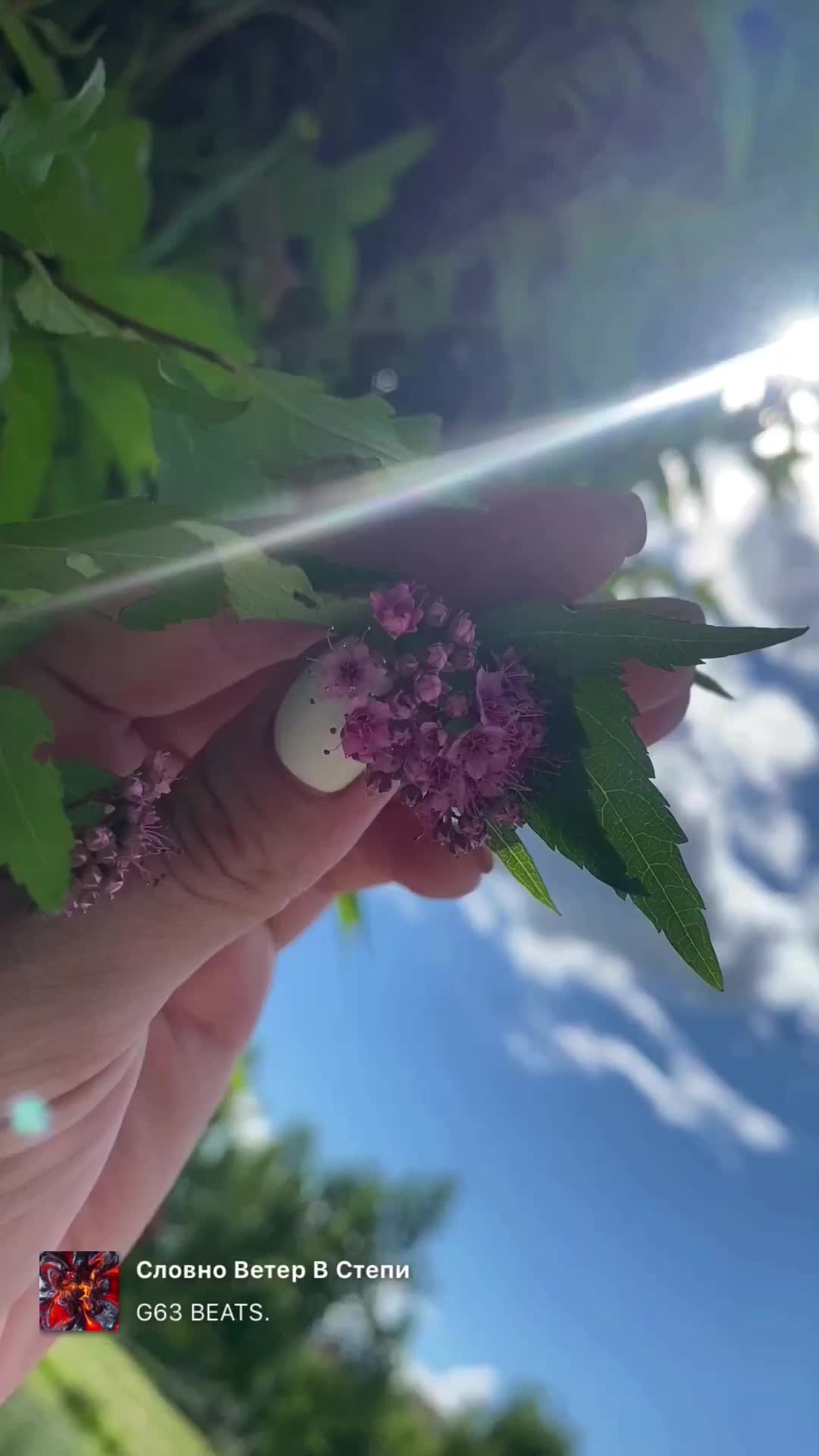 @Вероника Метелица