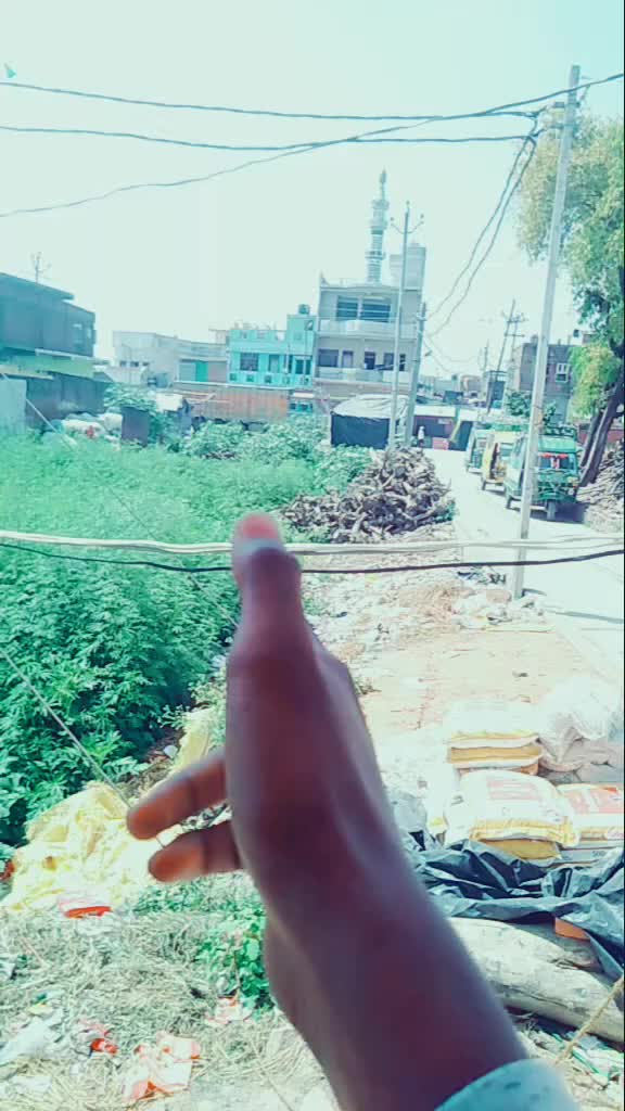 @alviboy
