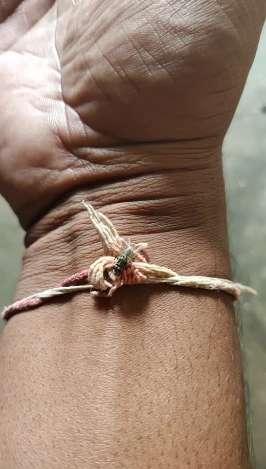 @AshokBalla