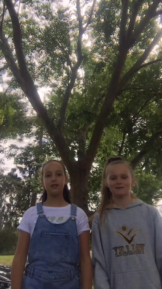 @𝓣𝔀𝓲𝓷𝓼𝓽𝓲𝓰𝓼💕