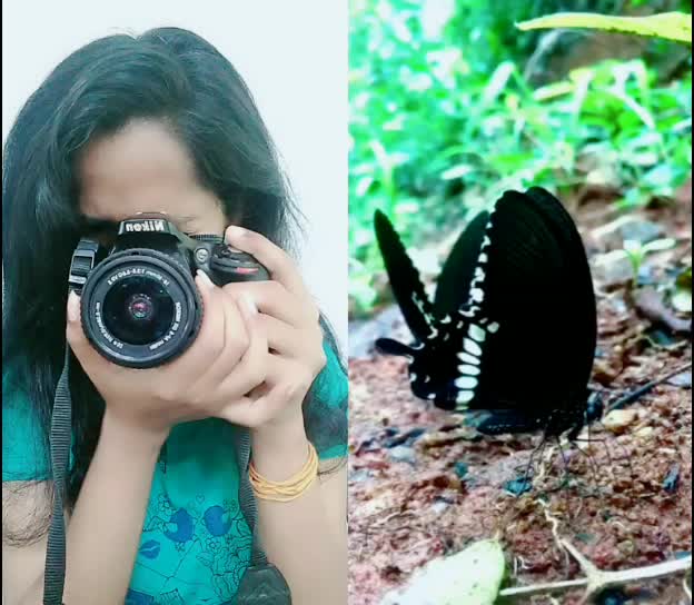 @sandra_surendran