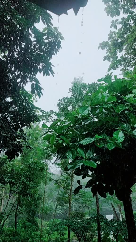 @കുഞ്ഞി..🐈