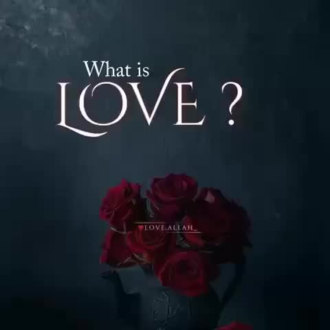 @✌ഉമ്മിച്ചികുട്ടി✌️