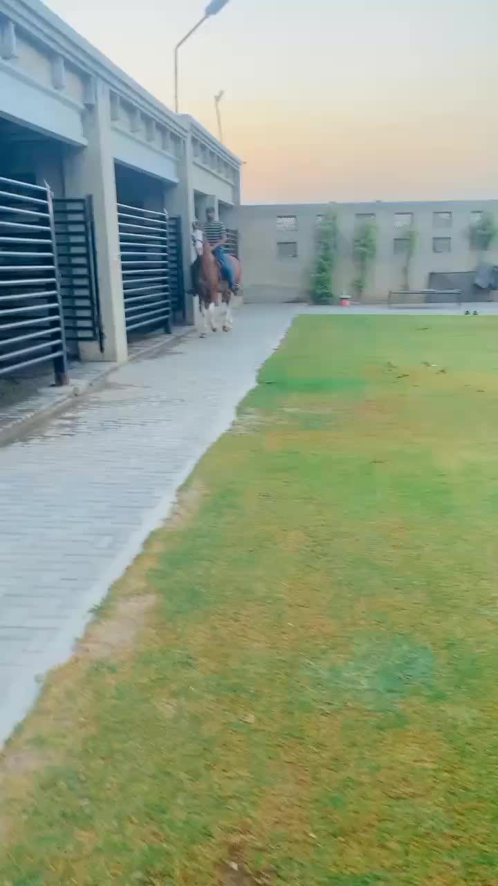 @RajPuT 🦅
