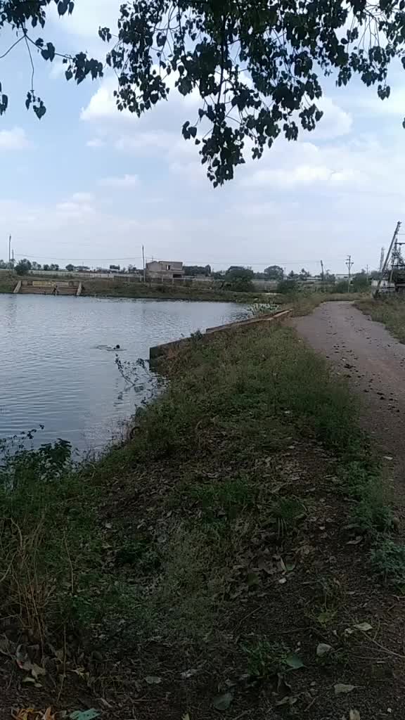 @Aman Jangde