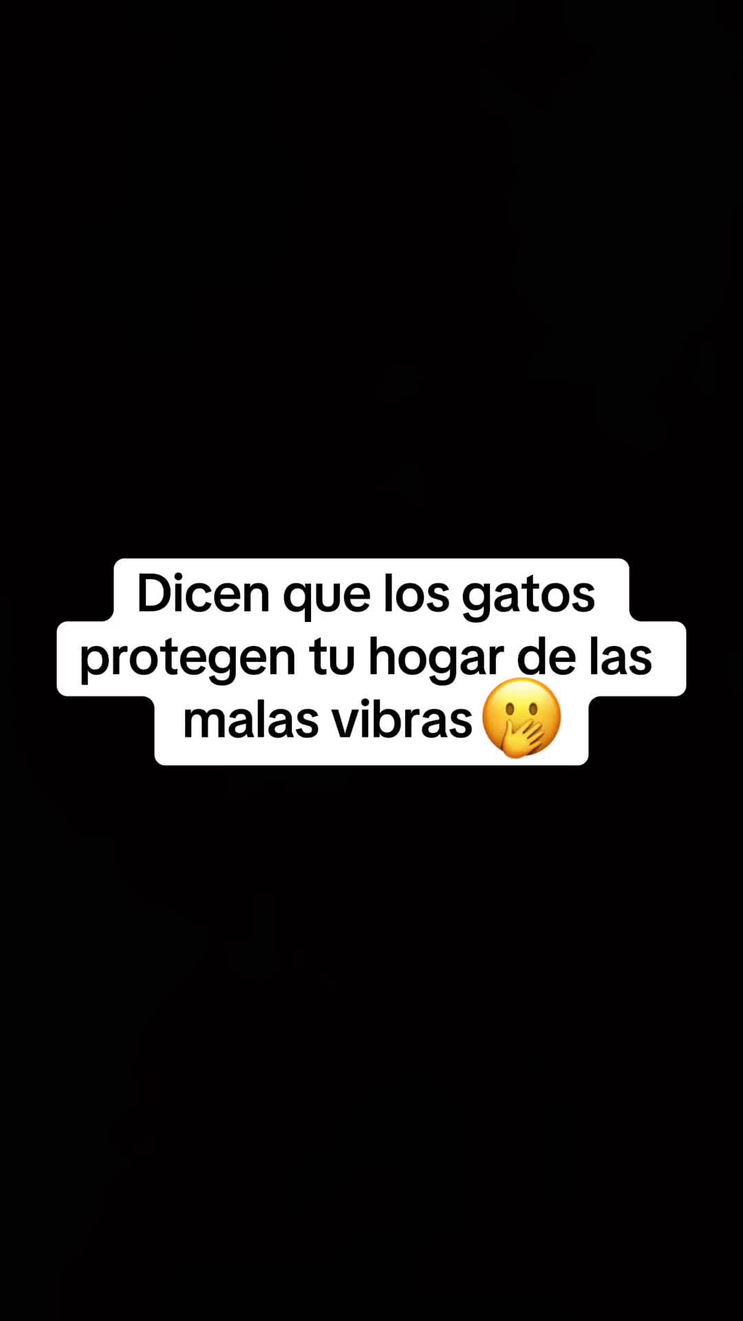 @Jamileth Marroqu&iacute;n G. ✨