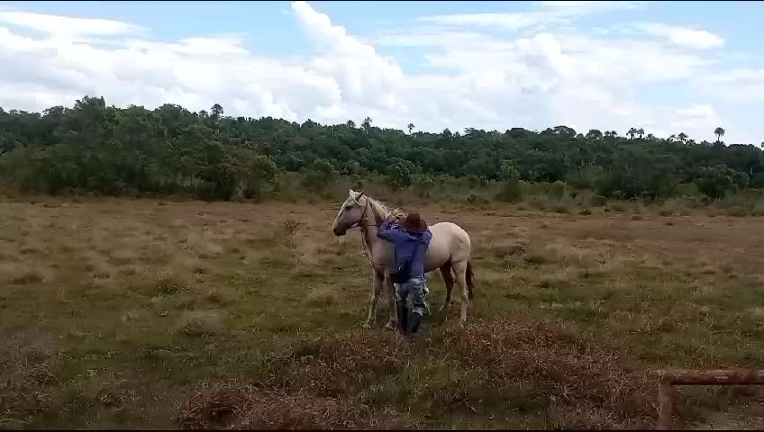 @Juan la garza