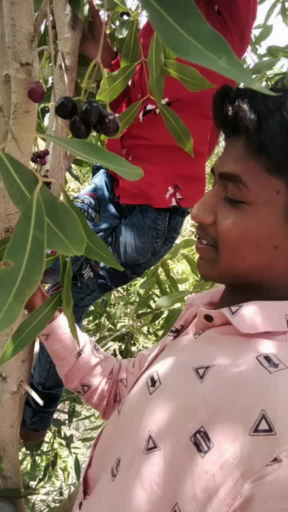 @🔥_Don_🔥_Bhai_🔥