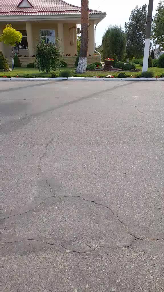 @Dances 2023