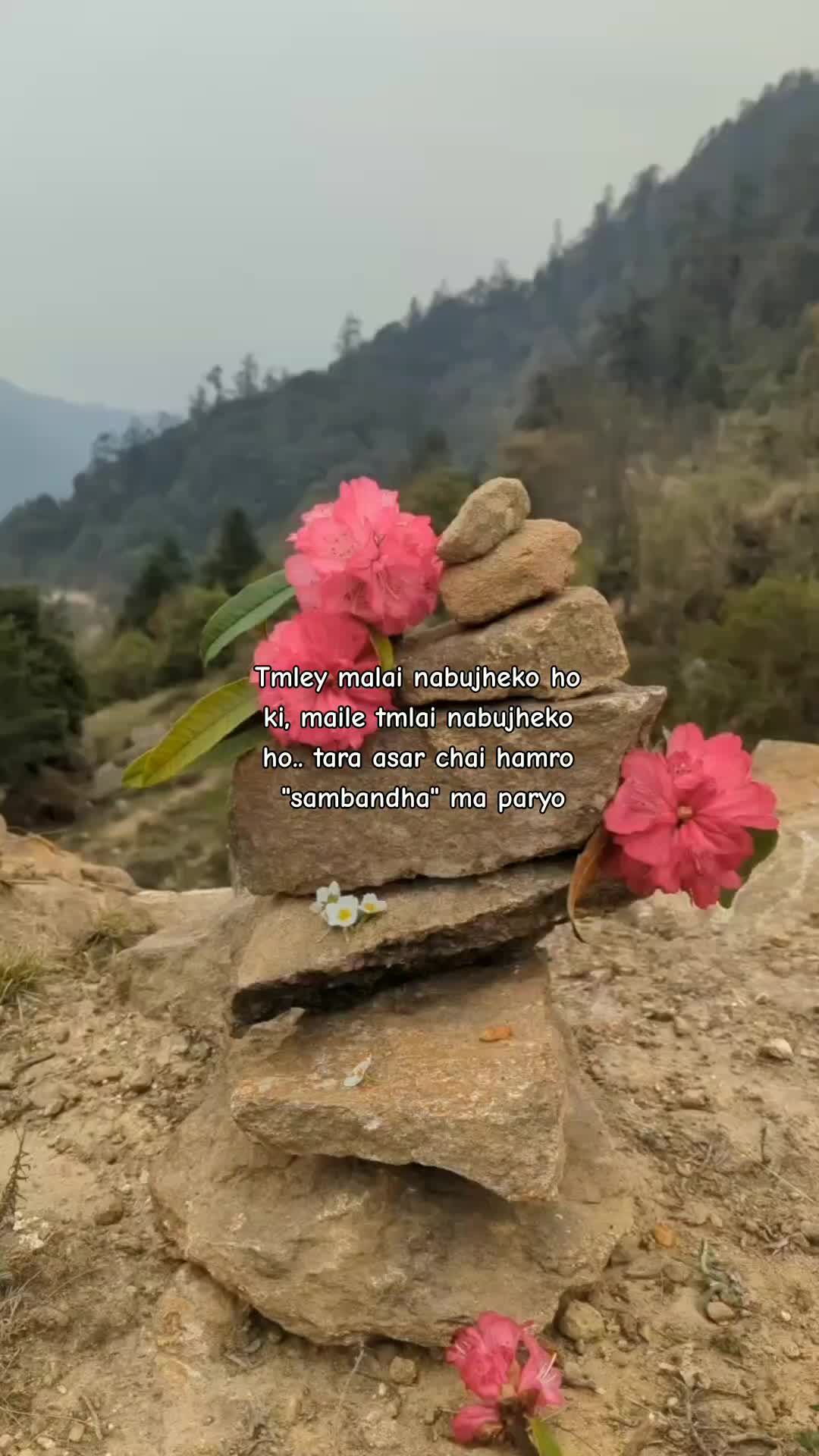 @🌷