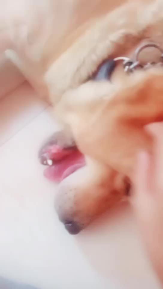 @Rakshanda..😋
