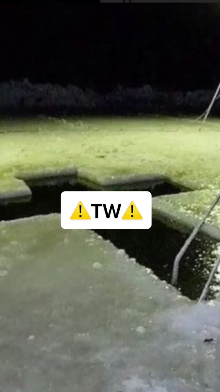 @çømė hõmë plēåšè