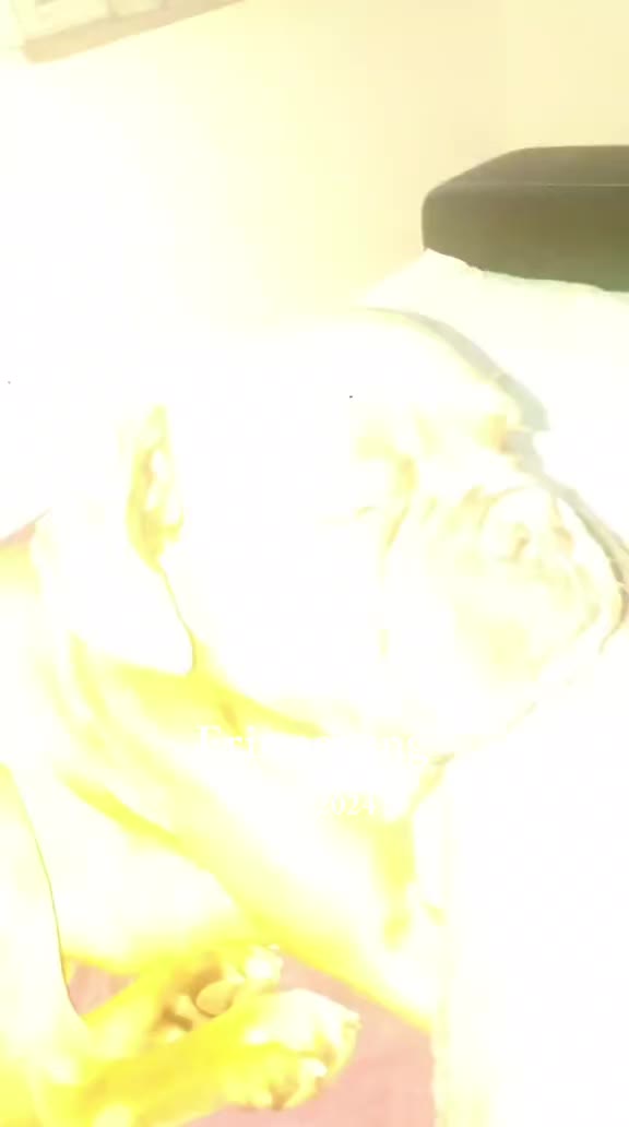 @nala23