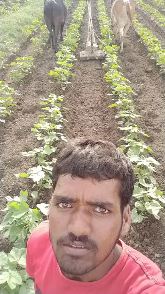 @srinagamalli