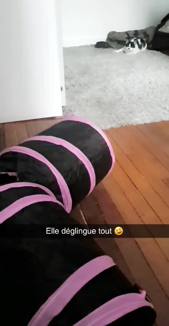 @Johanna F-Fantanaa