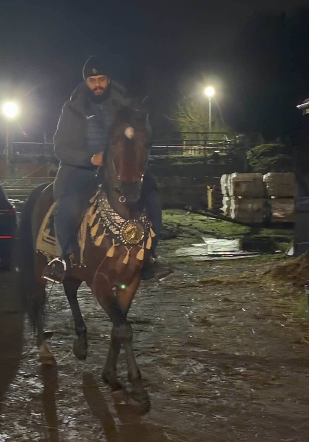 @thekhansarabianstudfarm