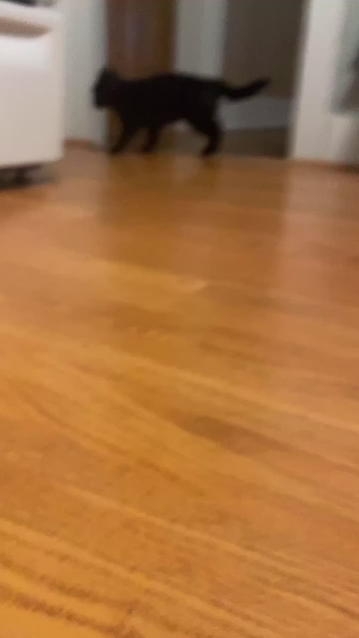 @Cas_sherm