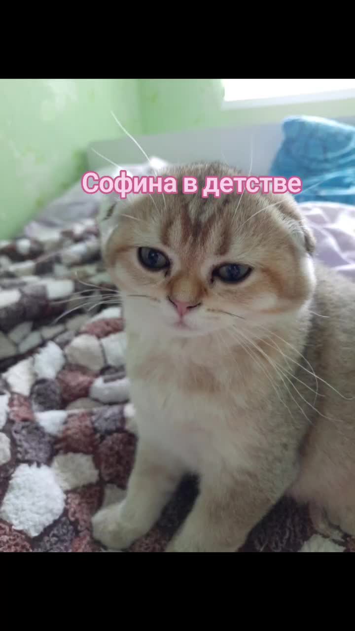 @Anna