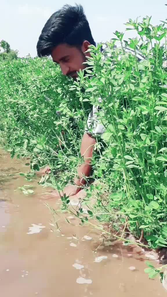 @gautam_ahir_7