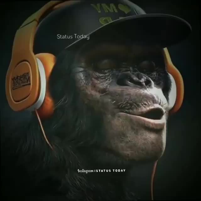 @Cᥲᥣᥣ mᥱ Abhι