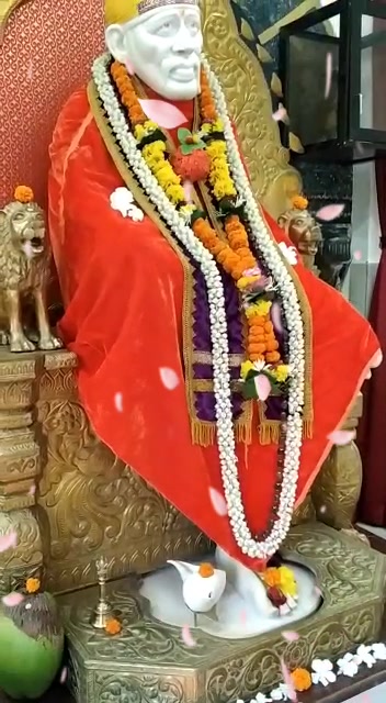 @साई मंदिर बुरोंडी 81