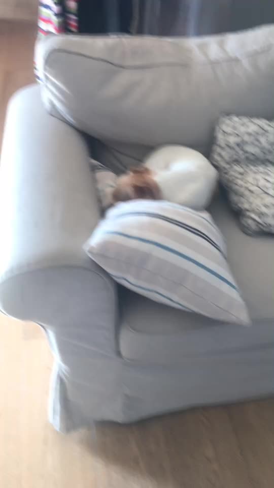 @Meh
