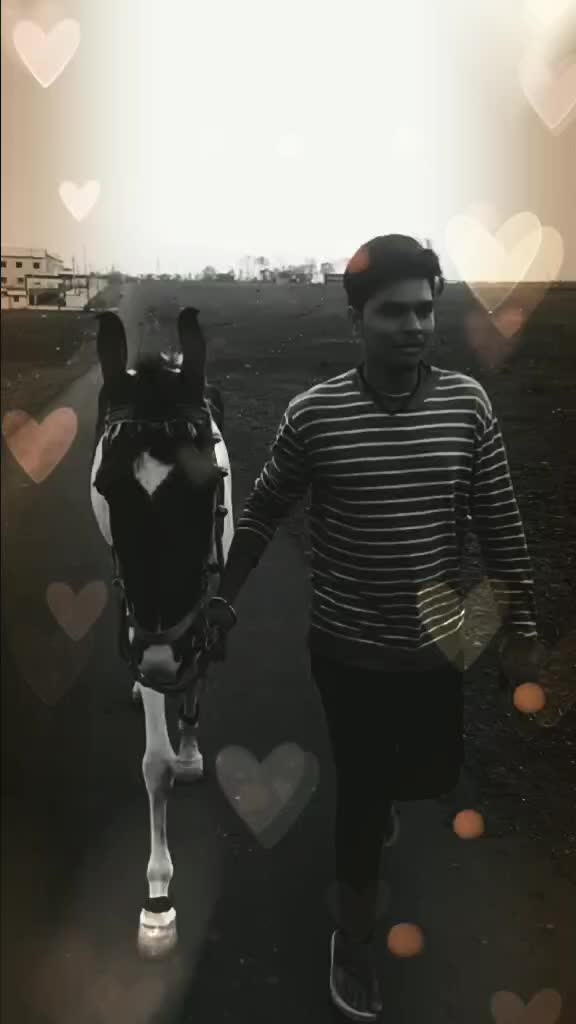 @gaurav gujarati