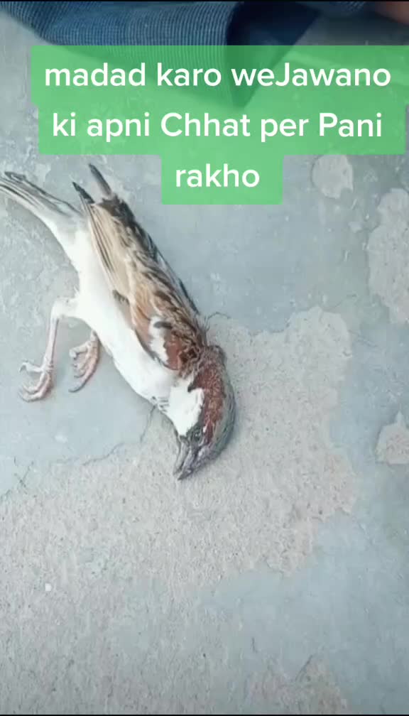 @user86197122008