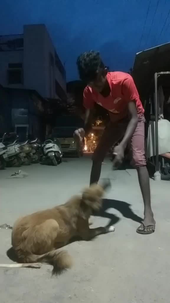 @sarkar vikas 63