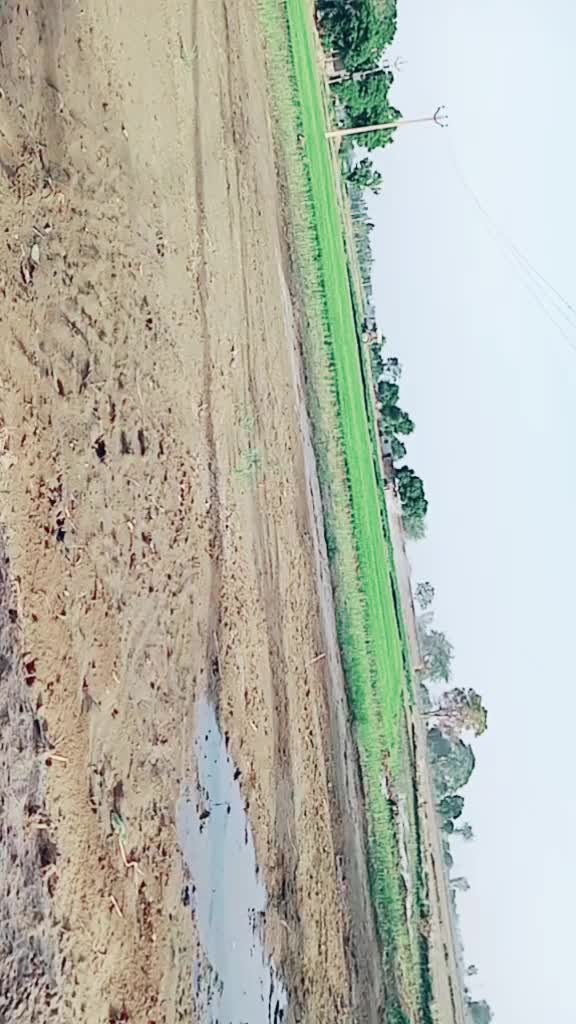 @Kirat Dhilwan