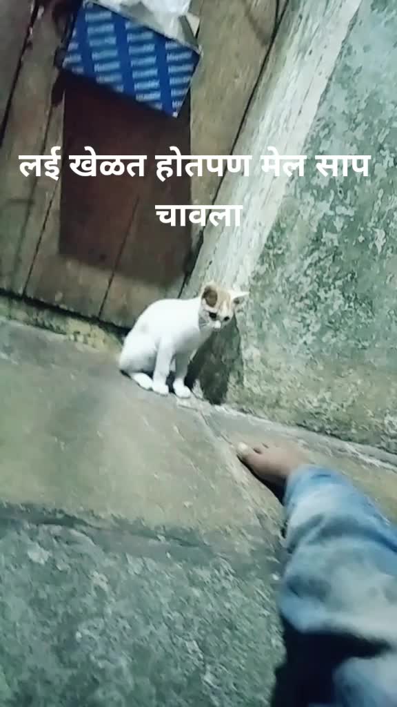 @Dhiraj Garje