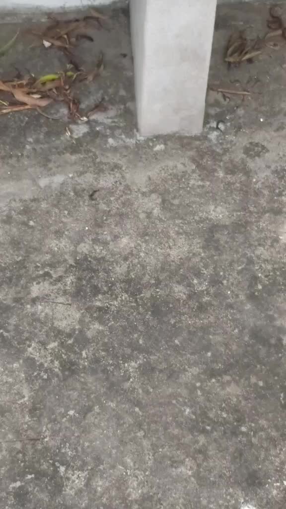 @Raju Komara
