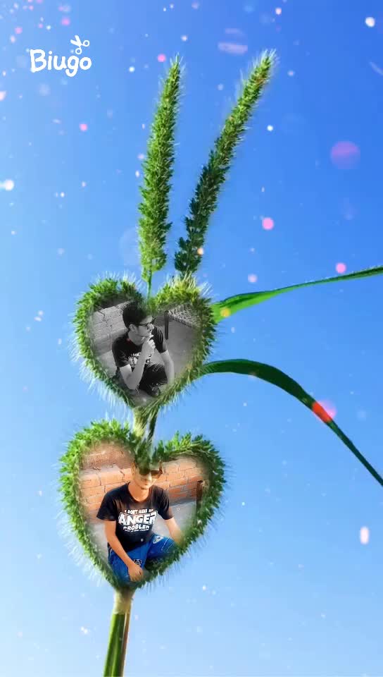 @hfhxbxn5218