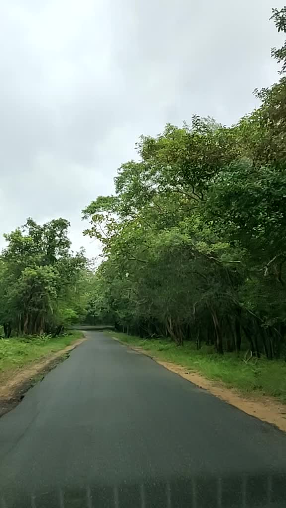 @Rjshankar