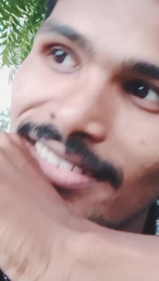 @REBEl STAR FANS