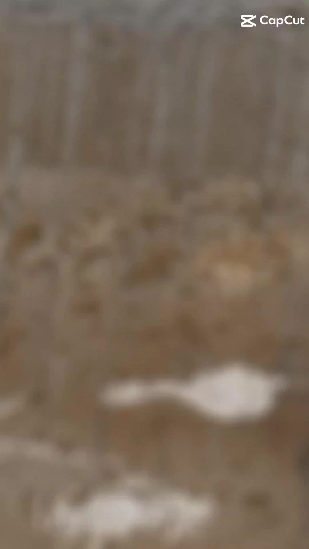 @SAMEER 😎