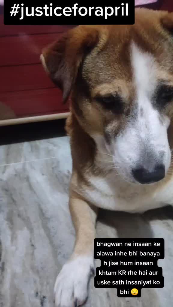 @Tripti Jani