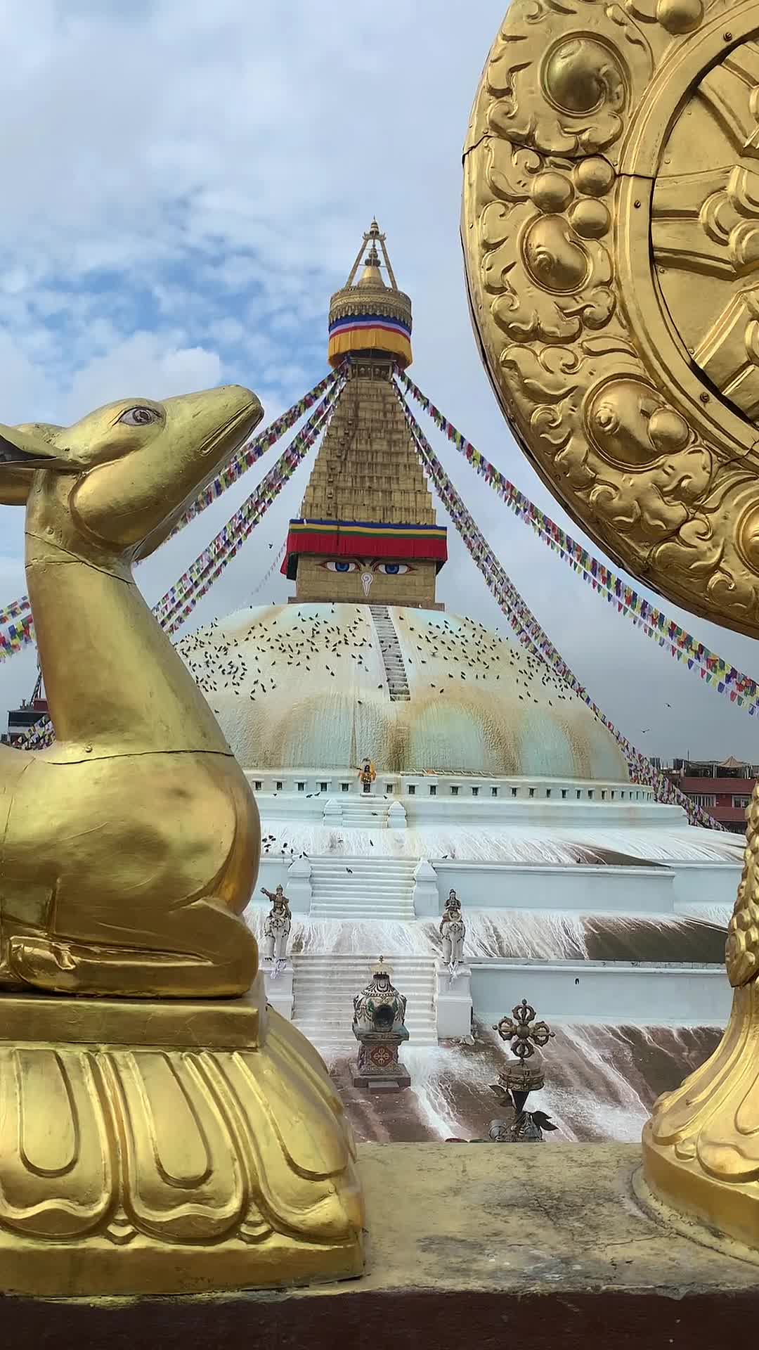 @སེང་གེSengay76