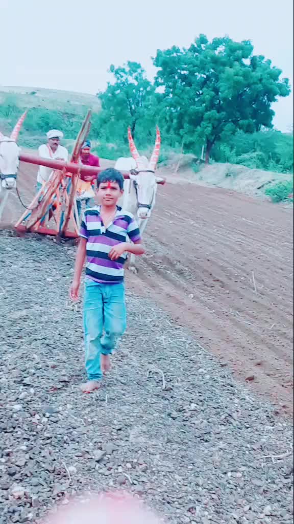 @user7637561759554