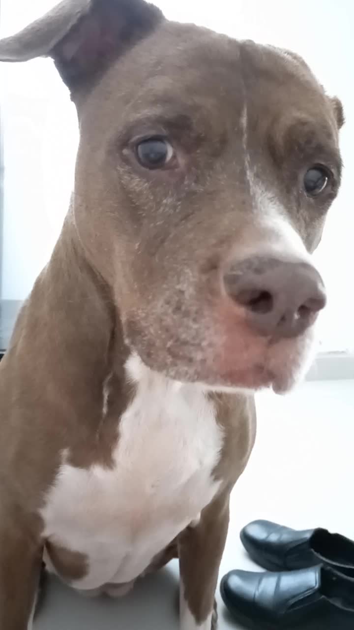 @MUNDO ANIMAL CURIOSO