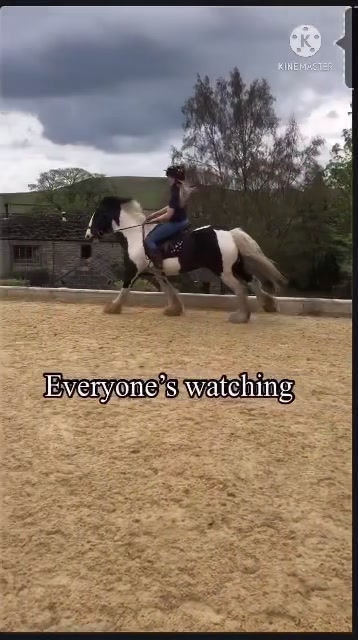 @2.8K