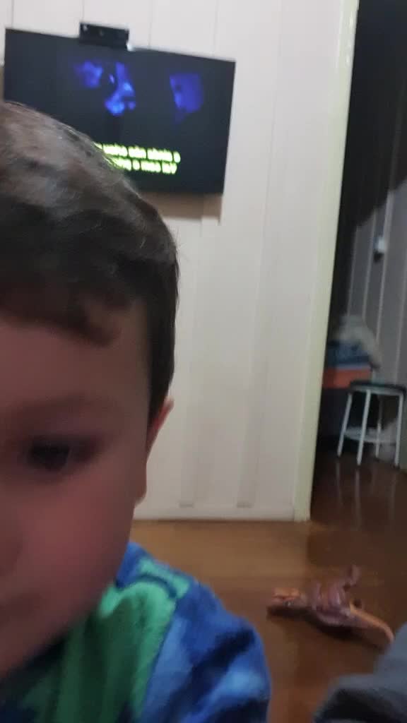@Carolina Manzini